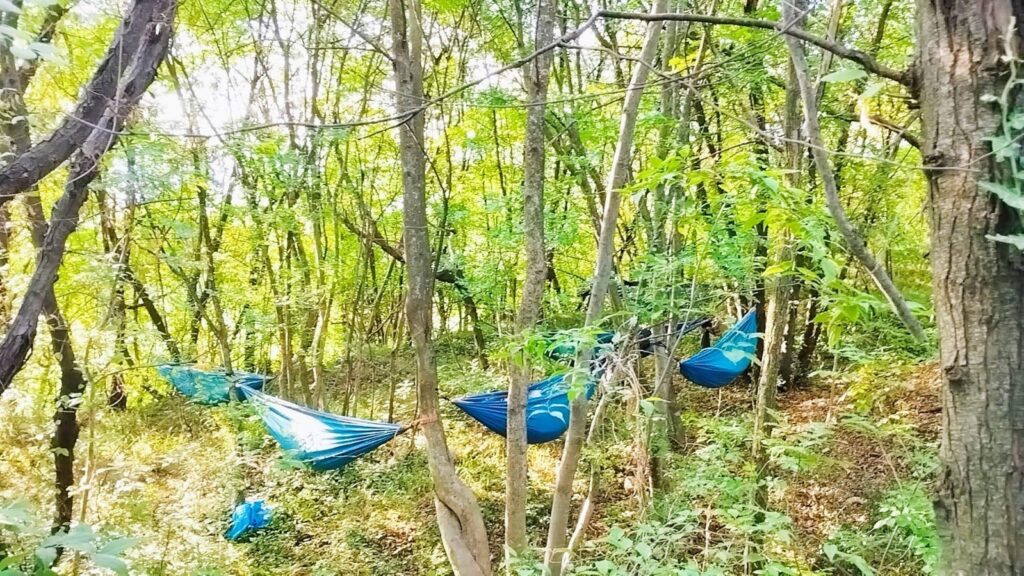 Camp Ainé.e.s : direction l’Italie